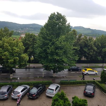 Apartament Posada Curtea de Argeş Exterior foto